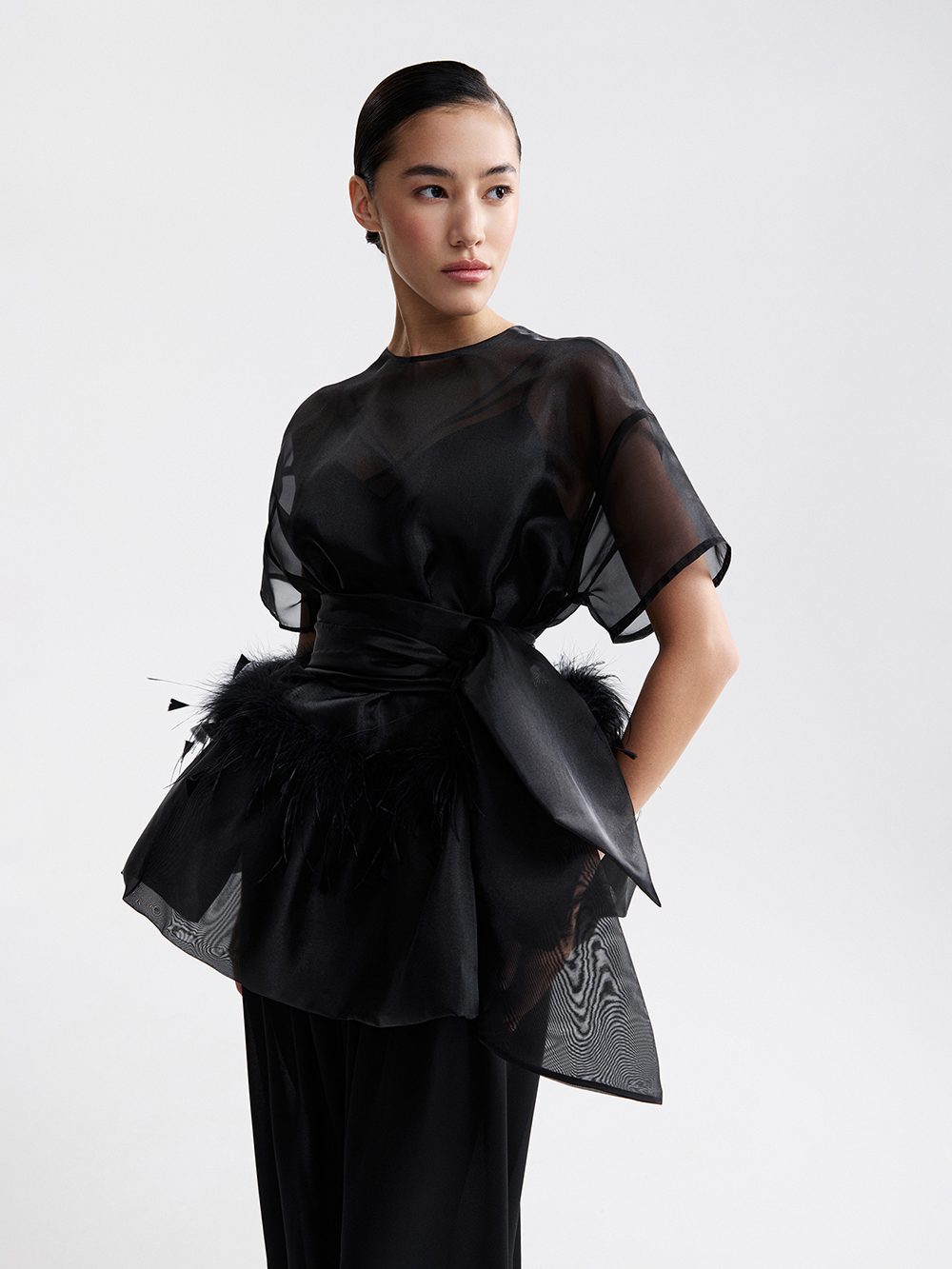 Organza top with feathers