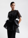 Organza top with feathers